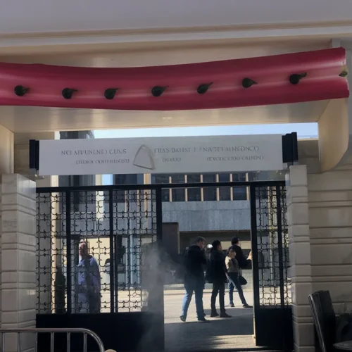 خريجي الجامعات والبطالة: تحديات وحلول على أرض الواقع